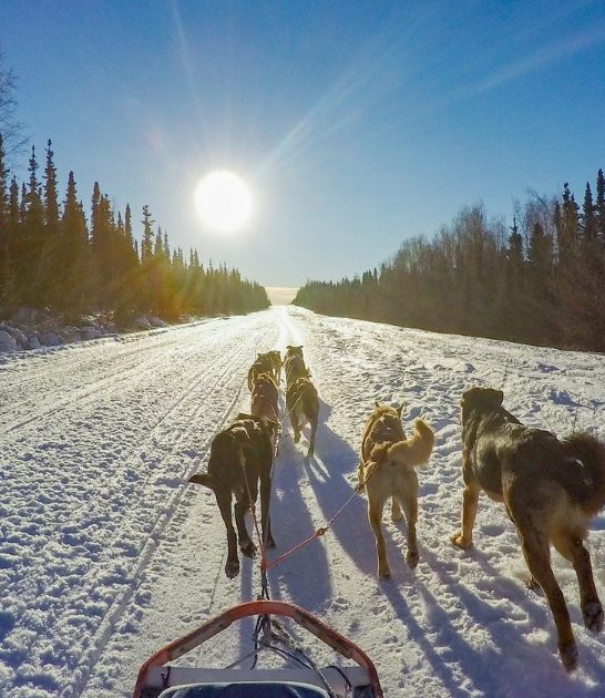 Solo Parenting in the Last Frontier: Thrilling Adventures in Alaska