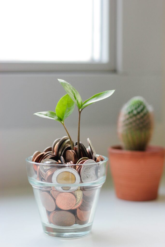 money savings
